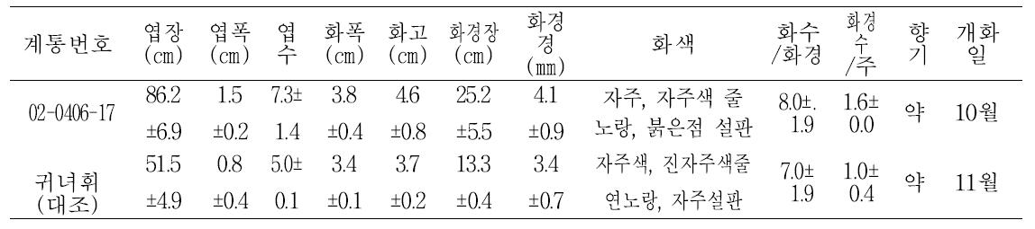 2013년 1차 특성검정용 계통의 생육 및 개화특성