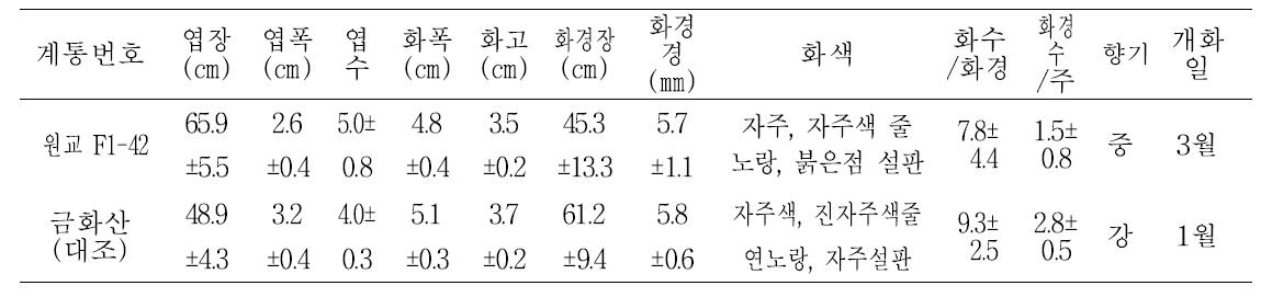 2013년 2차 특성검정용 계통의 생육 및 개화특성