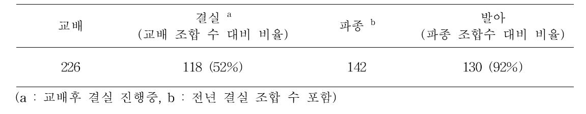 동양 심비디움 계통의 교배, 결실, 파종 및 발아 조합 수