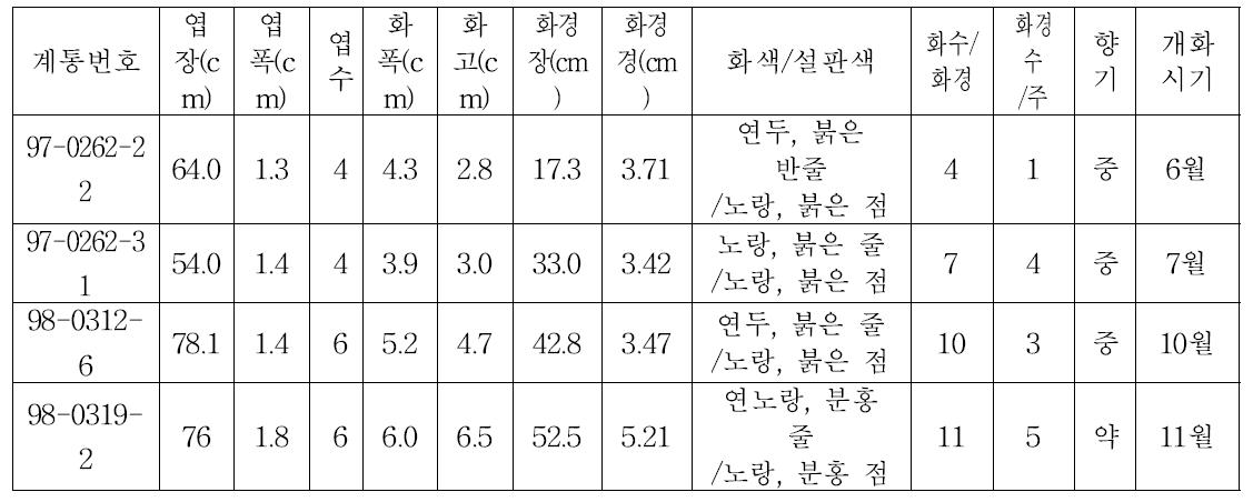 ‘14 동양 심비디움 종간교잡종 선발계통 특성조사