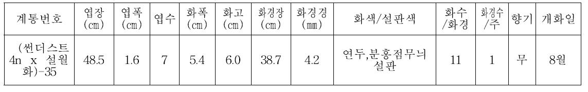 2014년 1차 특성검정용 계통의 생육 및 개화특성