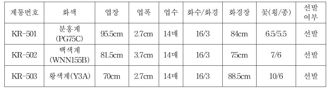 ‘11년 1차 특성검정 계통의 생육특성