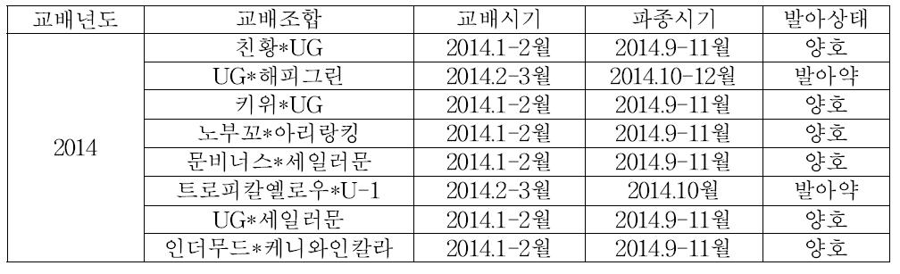 교배조합 및 발아현황