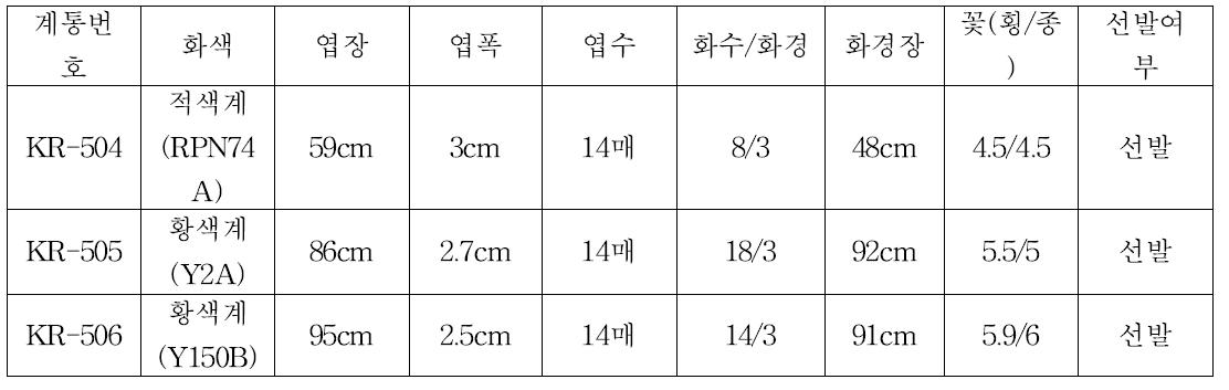 ‘12년 선발계통 생육 및 개화특성