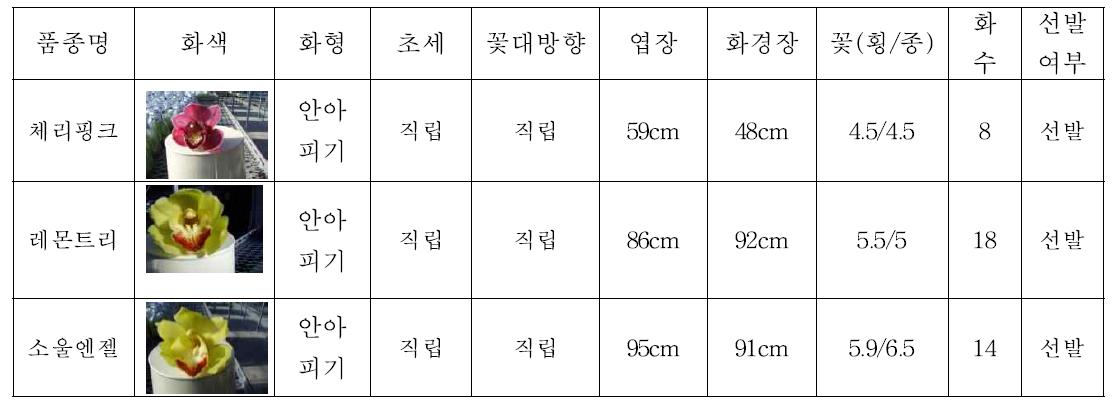 ‘13년 2차 특성검정 생육특성