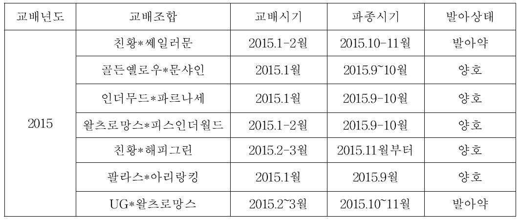 교배조합 및 발아현황