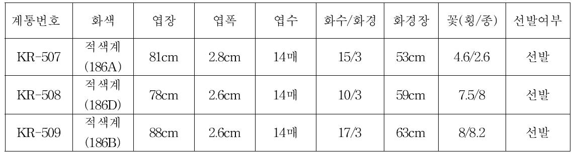 ‘13년 선발계통 생육 및 개화특성