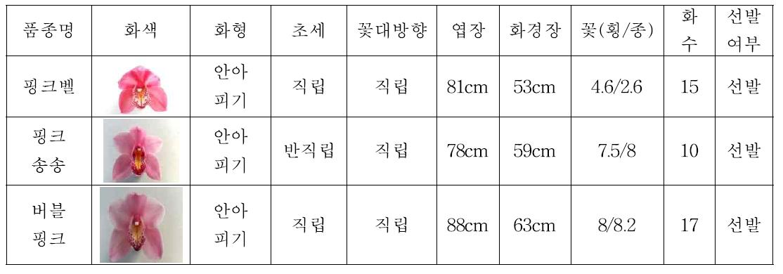 ‘14년 2차 특성검정 계통의 생육특성