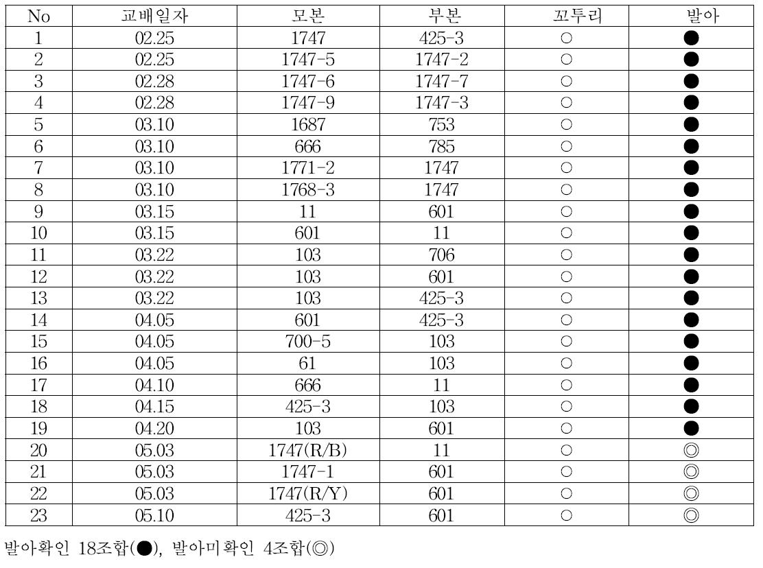 ‘13년 교배 및 기내파종