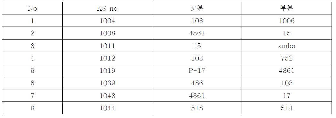 ‘11년 교배 실생계통양성