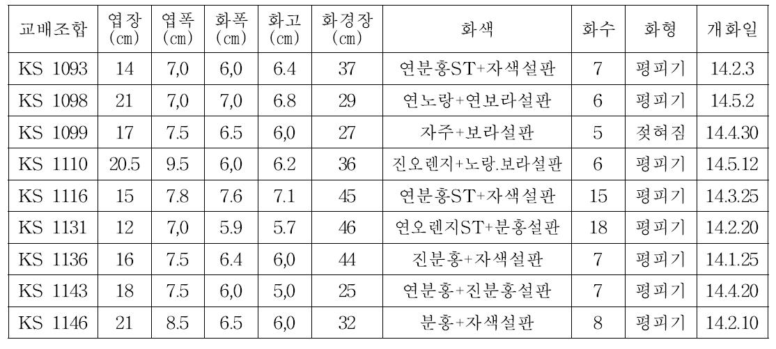 ‘14년 선발계통 생육 및 개화특성