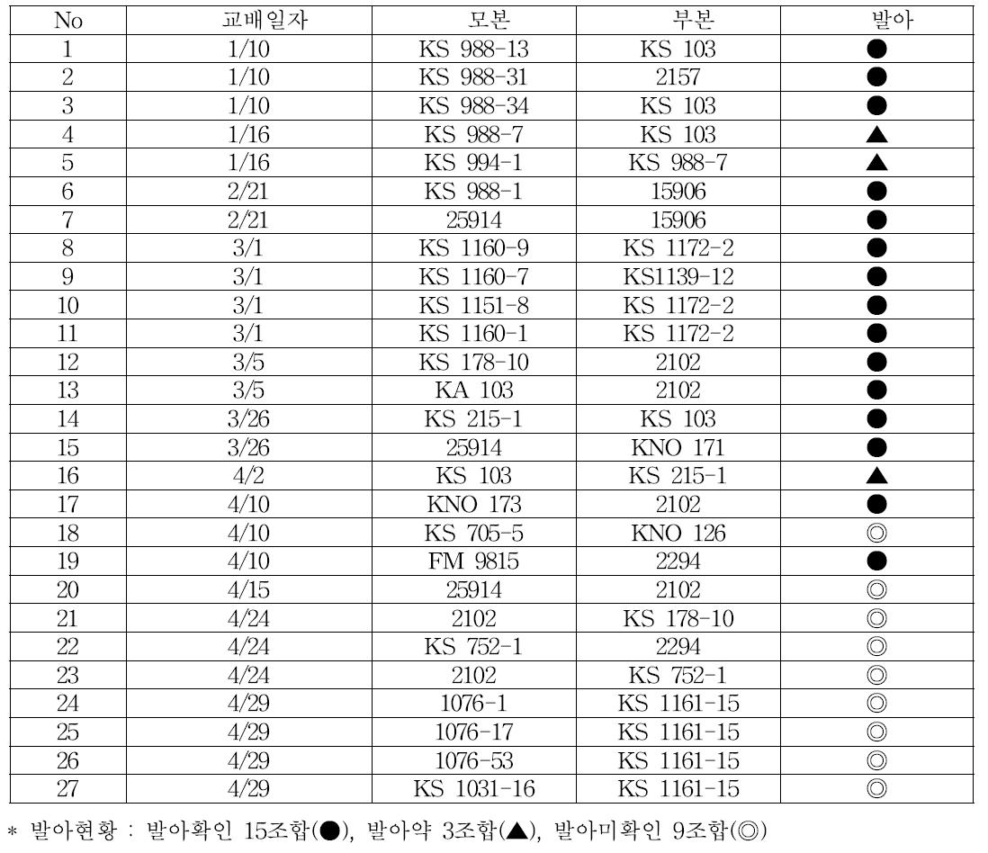 ‘15년 교배 및 계통양성