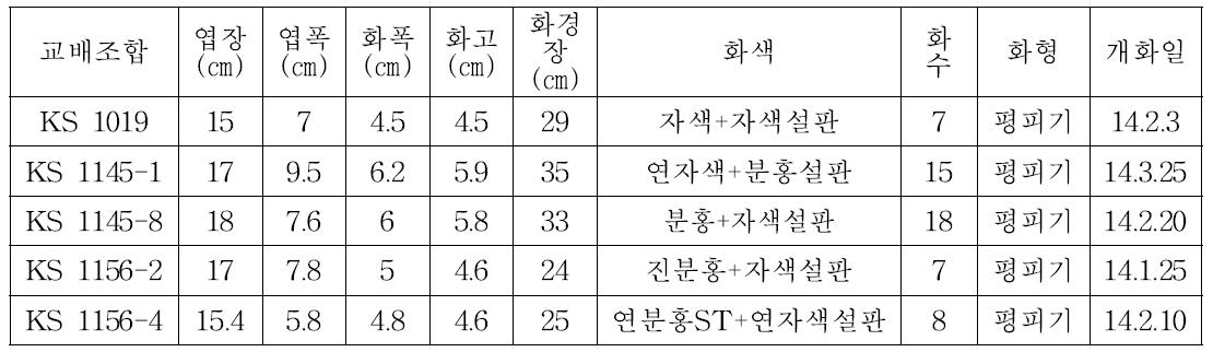 ‘15년 선발계통 생육 및 개화특성