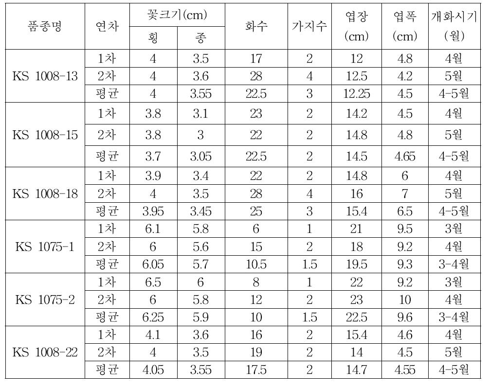 2차 특성검정 계통의 생육특성