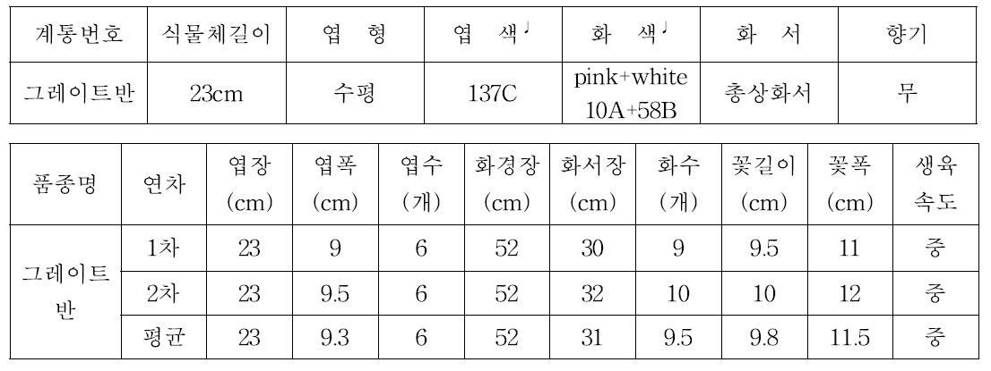 그레이트반 2차 개화특성