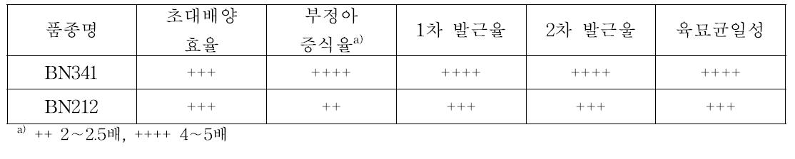 최종 선발계통의 기내 대량증식성 및 균일성