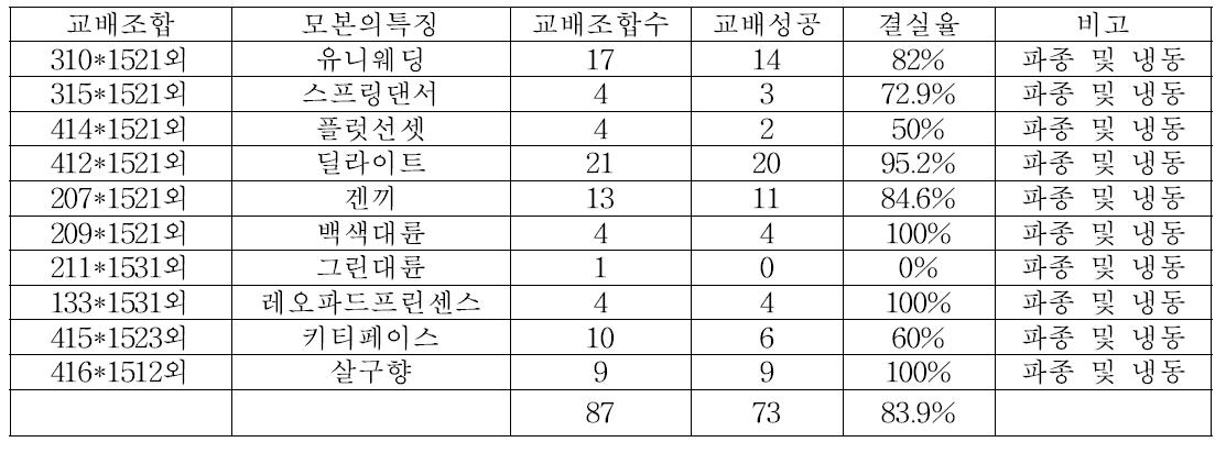 2015년도 Big Lip form peloric phalaenopsis를 이용한 교배조합