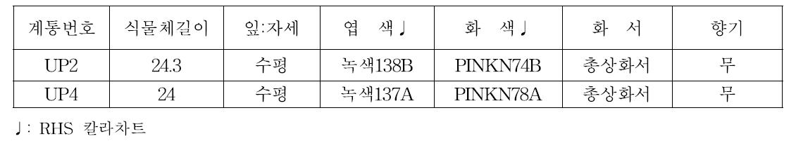 3차년도 출원계통 시험성적