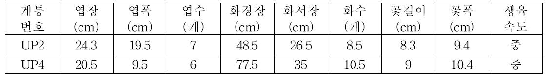 3차년도 출원계통 가변특성