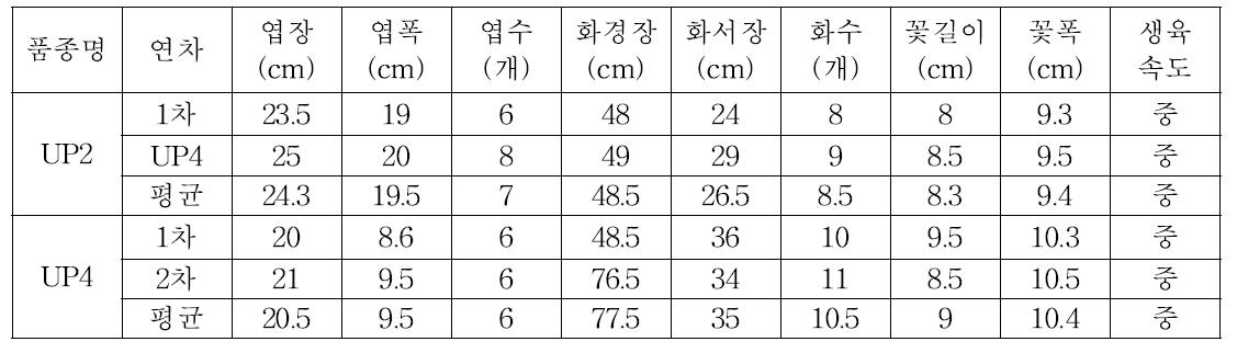 3차년도 출원계통 연차별 가변특성