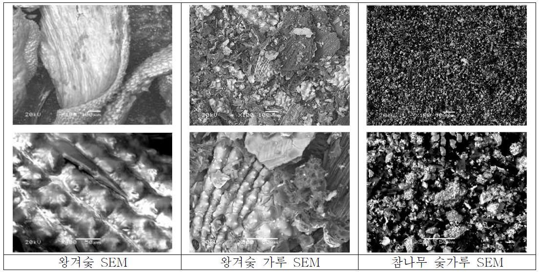 상업용 숯 3종의 전자현미경(SEM) 사진