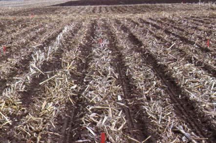 Residue remaining on soil surface after first tillage operation (Ridge-planting and Till planting 40-60%)