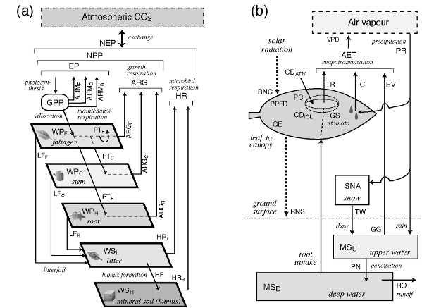 Sim-CYCLE 모델의 구조 (a) The compartment model of a carbon cycle, (b) water heat budget scheme