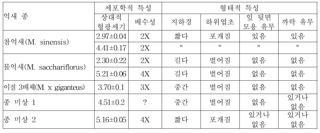 억새 종 및 배수성별 세포학적, 식물체의 형태적 특성