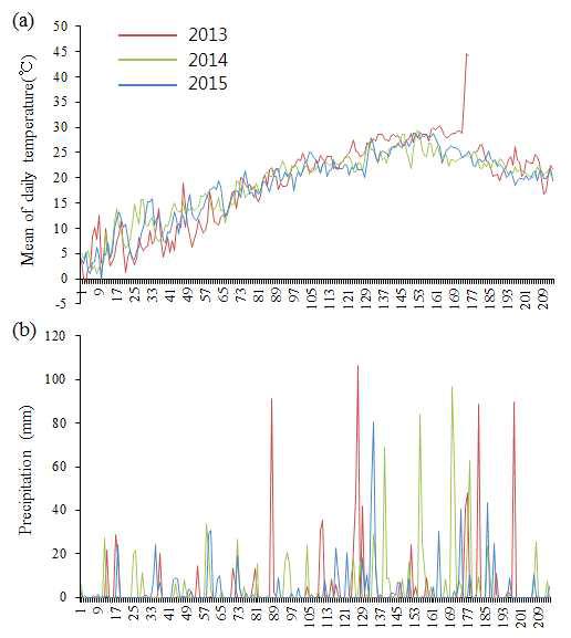 3년간 무안지역 일평균 기온(a) 및 강우량(b)