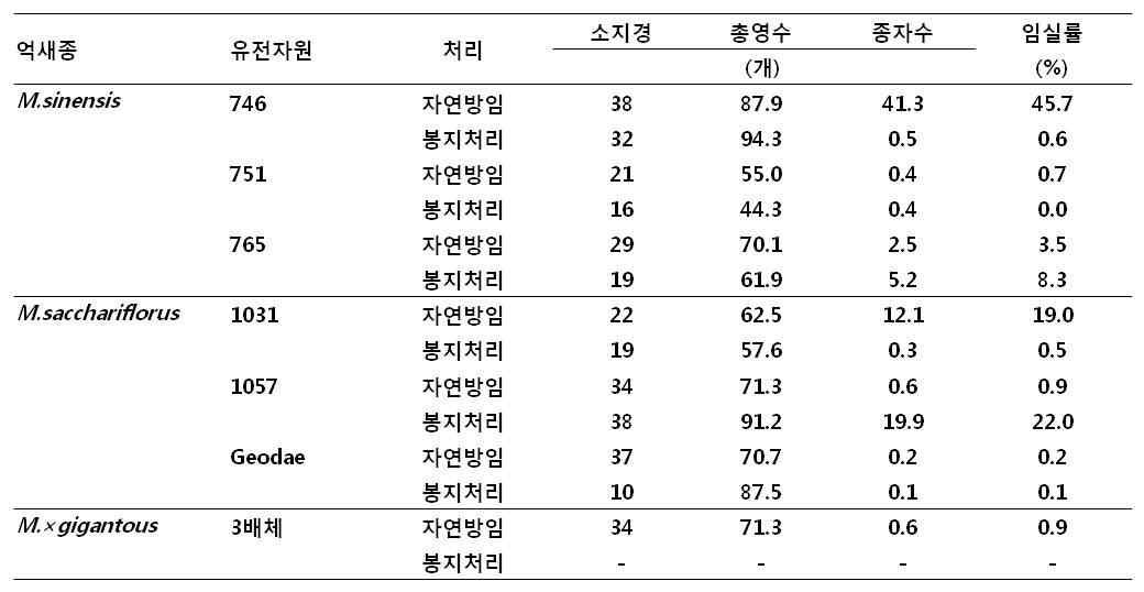 국내 억새종별 소지경수, 총영수, 종자수 및 임실률 조사결과