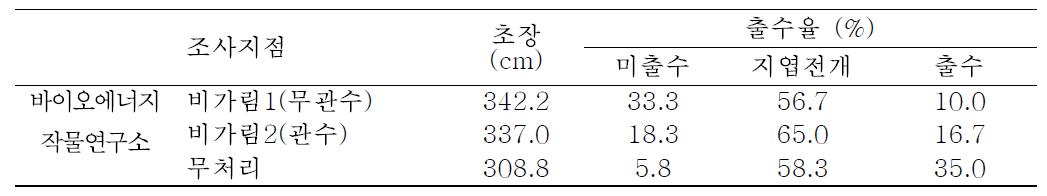 무안 바이오에너지작물 연구소 내 처리구별 출수율 조사결과