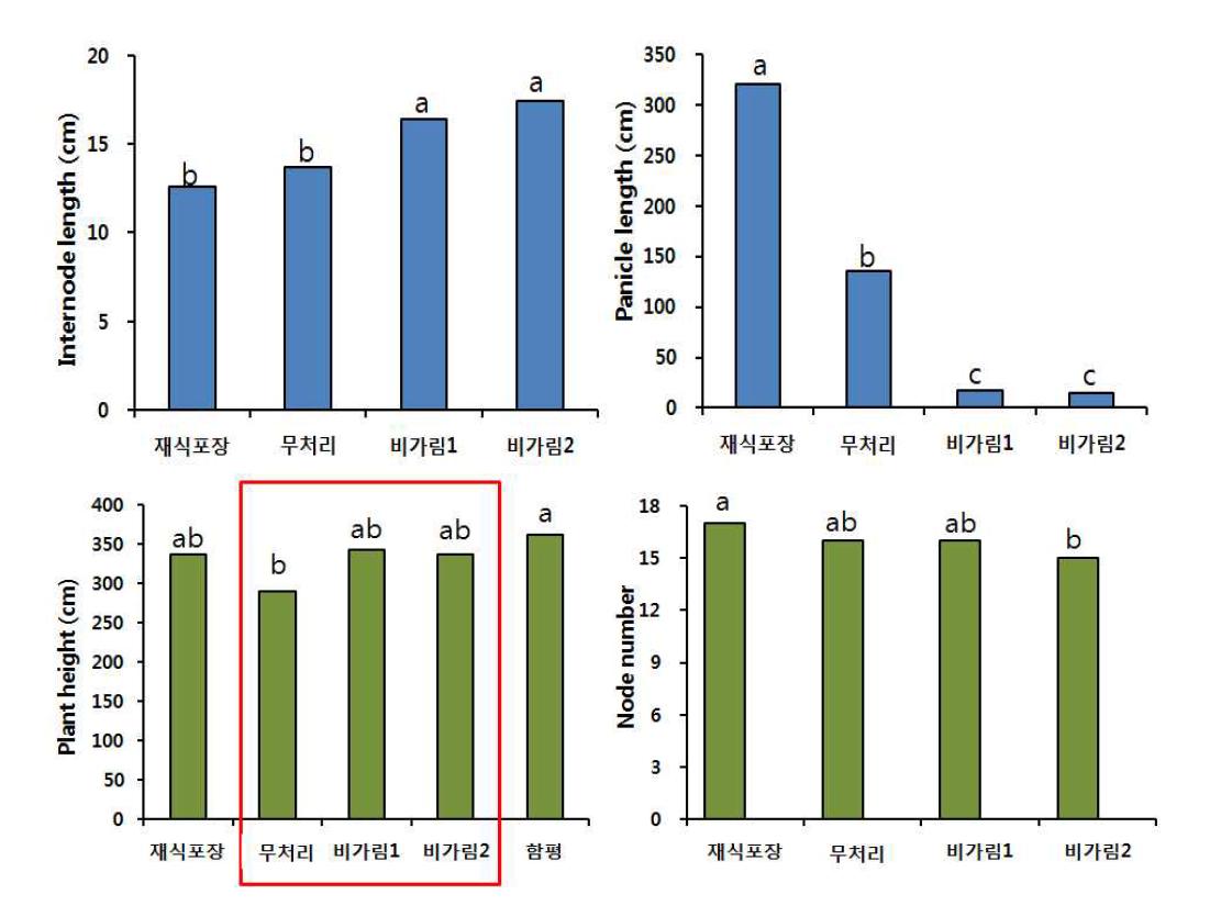 각 처리구별 거대 1호 생육특성조사 결과