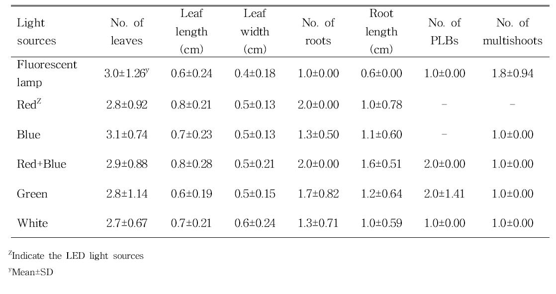 Effects of light qualities on growth in Stage Ⅰ of domestic line Phalaenopsis (KV600 x 07PN50) 11-16 after 60 days of culture.