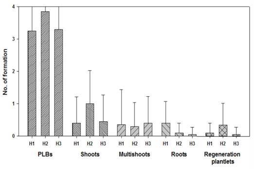 Effects of Hyponex concentration on PLBs multiplication and organogenesis from PLB of Cymbidium cv. Green Ball on Hyponex medium (H1, H2 and H3) after 50 days of culture.