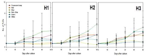 Effects of light qualities and Hyponex concentration on PLBs proliferation from PLB of Cymbidium cv. Green Ball for 50 days of culture.