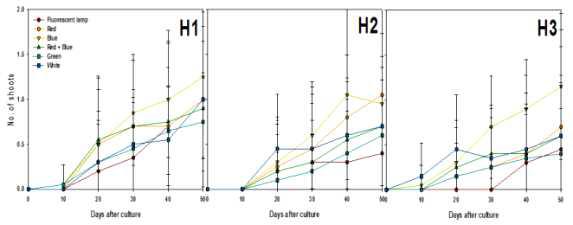 Effects of light qualities and Hyponex concentration on shoots differentiation from PLB of Cymbidium cv. Green Ball for 50 days of culture.