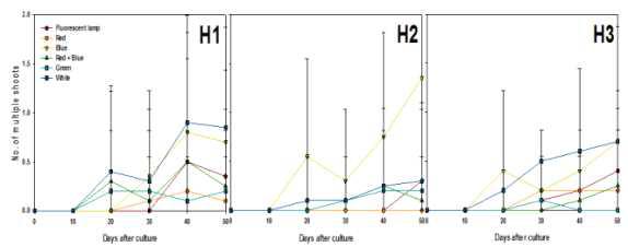 Effects of light qualities and Hyponex concentration on multiple shoots differentiation from PLB of Cymbidium cv. Green Ball for 50 days of culture.