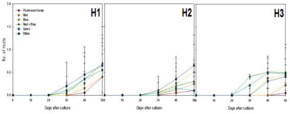 Effects of light qualities and Hyponex concentration on roots differentiation from PLB of Cymbidium cv. Green Ball for 50 days of culture.