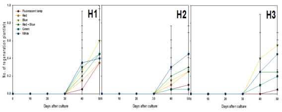 Effects of light qualities and Hyponex concentration on regeneration plantlets from PLB of Cymbidium cv. Green Ball for 50 days of culture.