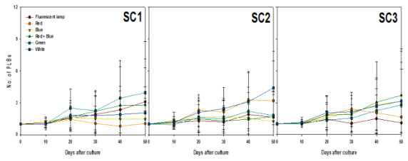 Effects of light qualities and sucrose concentration on PLBs proliferation from PLB of Cymbidium cv. Green Ball for 50 days of culture.