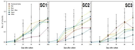 Effects of light qualities and sucrose concentration on shoots differentiation from PLB of Cymbidium cv. Green Ball for 50 days of culture.