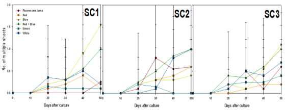 Effects of light qualities and sucrose concentration on multishoots differentiation from PLB of Cymbidium cv. Green Ball for 50 days of culture.