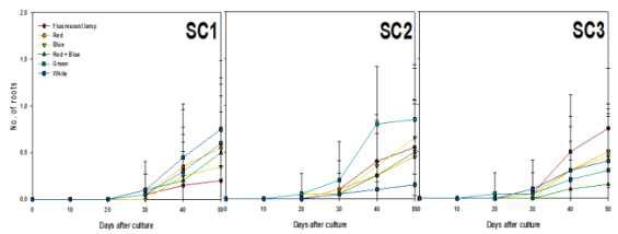 Effects of light qualities and sucrose concentration on roots differentiation from PLB of Cymbidium cv. Green Ball for 50 days of culture.