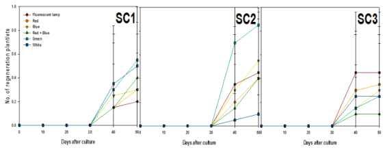 Effects of light qualities and sucrose concentration on regeneration plantlets from PLB of Cymbidium cv. Green Ball for 50 days of culture.