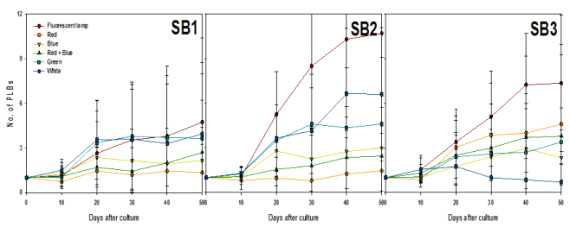 Effects of light qualities and sorbitol concentration on PLBs proliferation from PLB of Cymbidium cv. Green Ball for 50 days of culture.