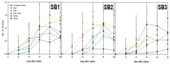 Effects of light qualities and sorbitol concentration on shoots differentiation from PLB of Cymbidium cv. Green Ball for 50 days of culture.