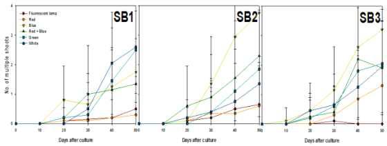 Effects of light qualities and sorbitol concentration on multishoots differentiation from PLB of Cymbidium cv. Green Ball for 50 days of culture.