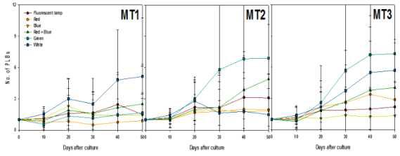 Effects of light qualities and maltose concentration on PLBs proliferation from PLB of Cymbidium cv. Green Ball for 50 days of culture.