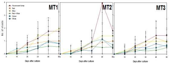 Effects of light qualities and maltose concentration on shoots differentiation from PLB of Cymbidium cv. Green Ball for 50 days of culture.