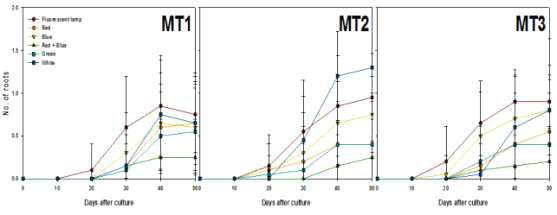 Effects of light qualities and maltose concentration on roots differentiation from PLB of Cymbidium cv. Green Ball for 50 days of culture.